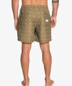 EQYJV03649 QUIKSILVER THREADS AND FINS VOLLEY SWIM TRUNKS