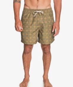 EQYJV03649 QUIKSILVER THREADS AND FINS VOLLEY SWIM TRUNKS
